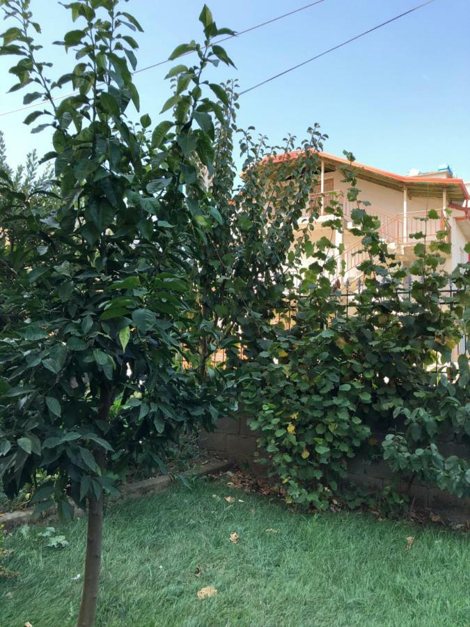 Hotel Villa Ago Πρεμετή Εξωτερικό φωτογραφία