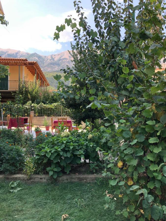 Hotel Villa Ago Πρεμετή Εξωτερικό φωτογραφία