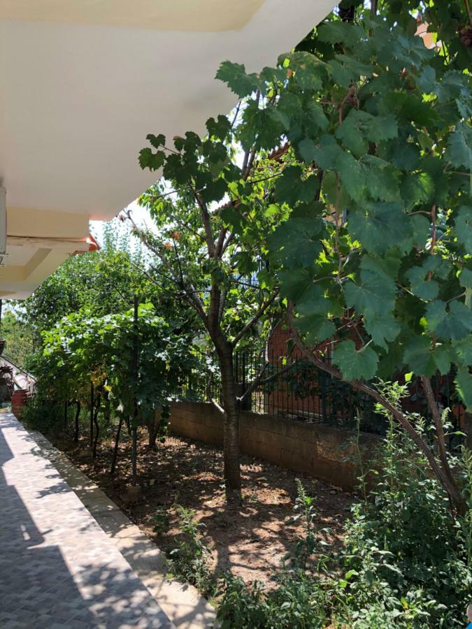 Hotel Villa Ago Πρεμετή Εξωτερικό φωτογραφία